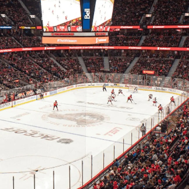 Hockey game in progress with fans in the stands at a large arena.