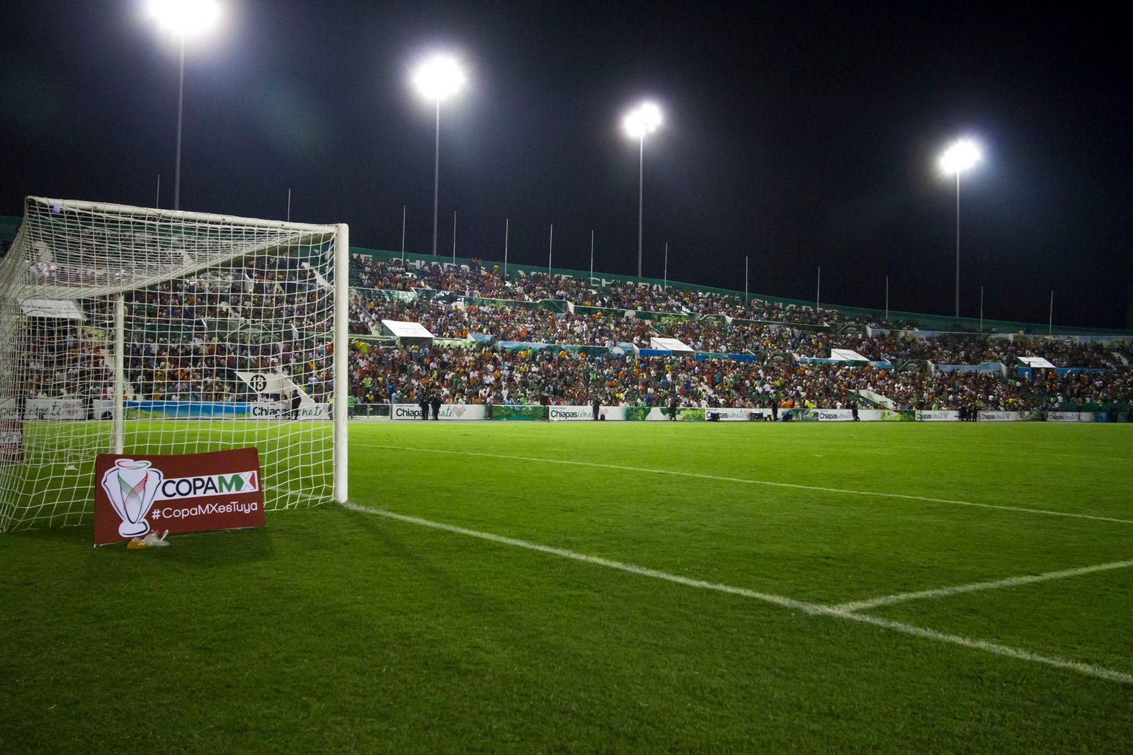 Why do sports light prices differ a lot？